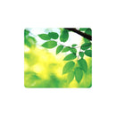 Fellowes Earth Series Alfombrilla Reciclada para Raton - Duradera y Facil de Limpiar - Base de Goma - 85% Material Reciclado - Diseño Hojas