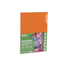 Apli Cartulinas Surtido Intenso A4 170g 50 Hojas