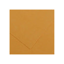 Canson Guarro Pack de 25 Cartulinas Iris de 185g - 50x65cm - Color Cuero