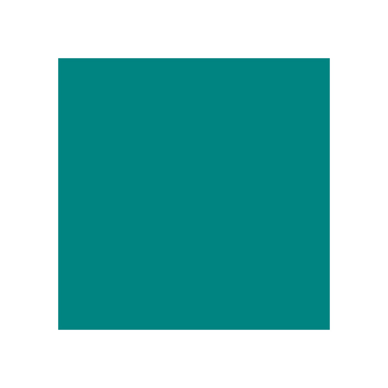 Canson Guarro Pack de 25 Cartulinas Iris de 185g - 50x65cm - Color Verde Menta