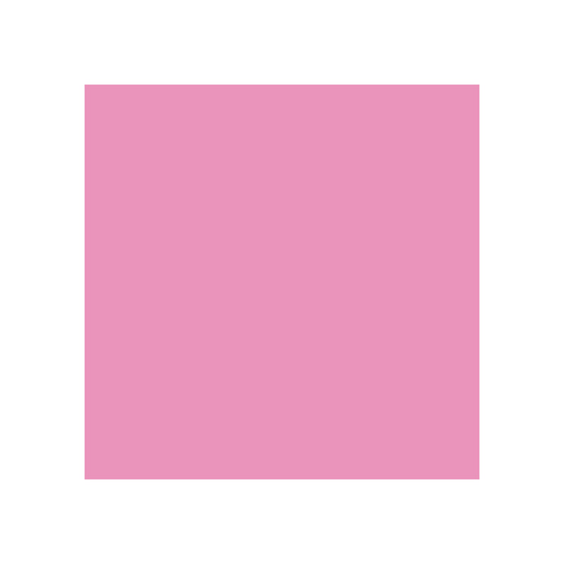 Canson Guarro Pack de 25 Cartulinas Iris de 185g - 50x65cm - Color Rosa Chicle