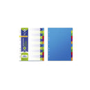 Bismark Pack de 12 Separadores - Tamaño A4 - Extragruesos - Fabricados en Polipropileno - Colores Surtidos
