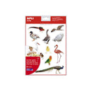 Apli Gomets Tematicos Realistas de Aves - 144 Gomets en 12 Hojas - Imagenes Realistas para Relacionar Aves - Desarrolla Habilidades Motoras - Adhesivo Removible - Adhesivo Base Agua - Coloridos