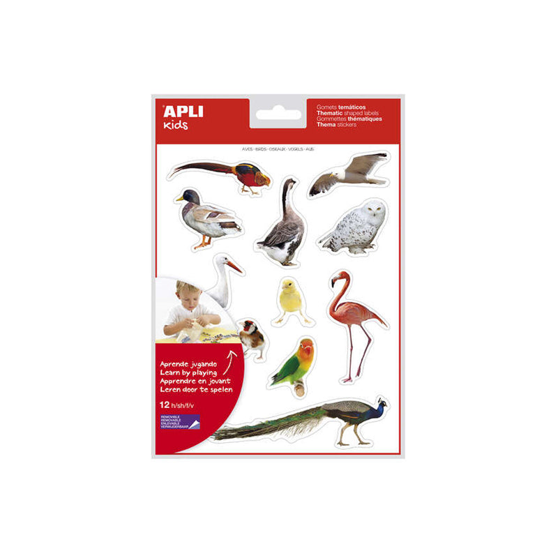 Apli Gomets Tematicos Realistas de Aves - 144 Gomets en 12 Hojas - Imagenes Realistas para Relacionar Aves - Desarrolla Habilidades Motoras - Adhesivo Removible - Adhesivo Base Agua - Coloridos