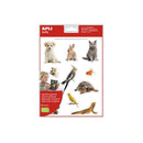 Apli Gomets Tematicos Realistas de Mascotas - 22 Gomets en 2 Hojas - Imagenes Realistas para Relacionar Animales Domesticos - Adhesivo Removible - Normas EN-71 y FSC - Adhesivo Base Agua - Libre de Disolventes - Colorido - Pack 5 unidades
