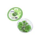 Dohe Combo Ovni Pack de Accesorios de Escritorio - 12 Pinzas de 15mm, 5 Pinzas de 19mm, 50 Clips de 28mm y 30 Push Pins de 22mm - Color Verde