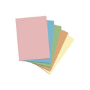 Dohe Pack de 50 Subcarpetas de Cartulina de 180gr A4 - Ranura para Fastener - Resistente y Duradera - Ideal para Organizar Documentos - Colores Surtidos