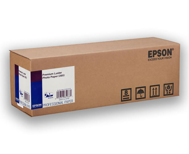Epson S042080 Papel Original - C13S042080