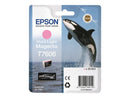 Epson T7606 Magenta Light Cartucho de Tinta Original - C13T76064010