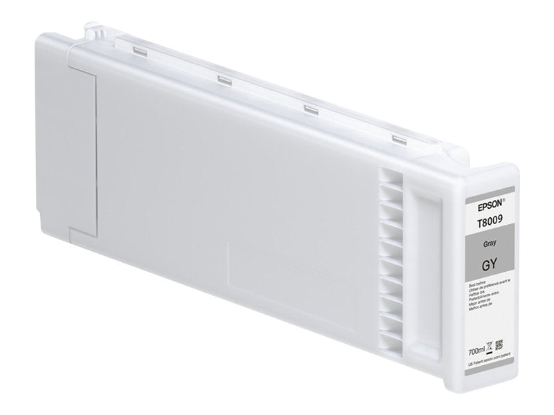 Epson T800900 Gris Cartucho de Tinta Original - C13T800900